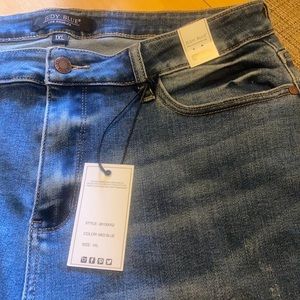 Judy Blue 1x Denim Jean Shorts - distressed